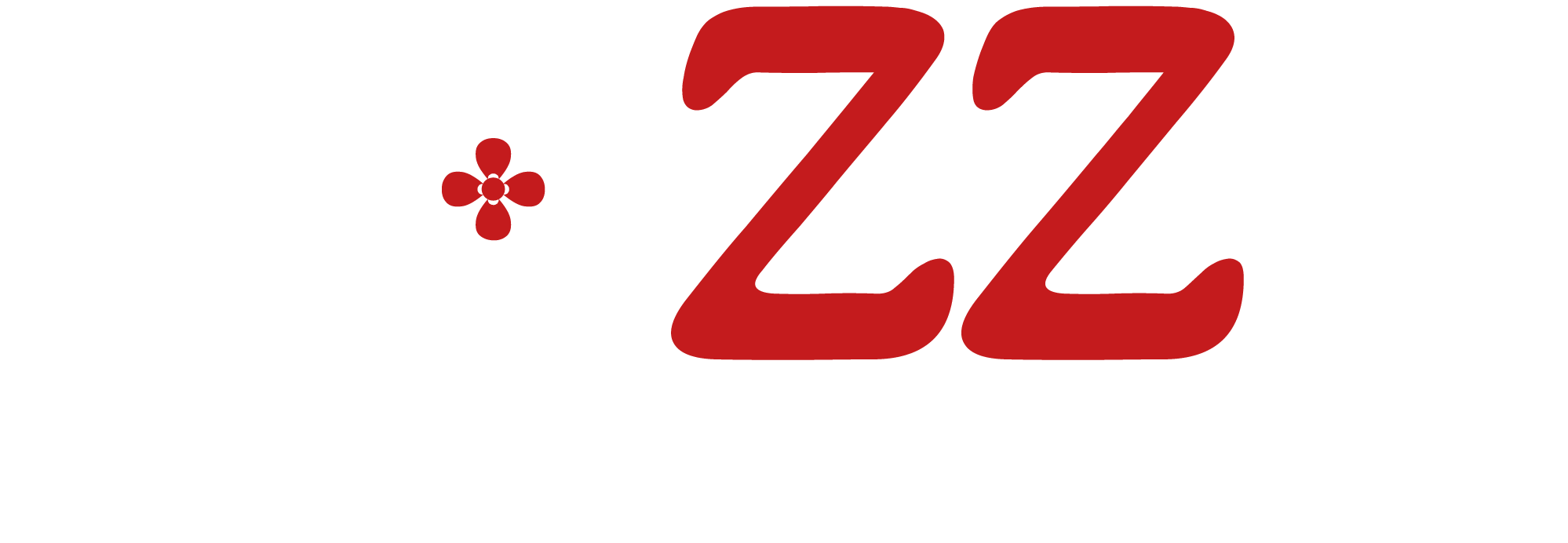 ROZZY CALÇADOS 